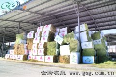 贵州好一多 用好奶源打造中国好鲜奶