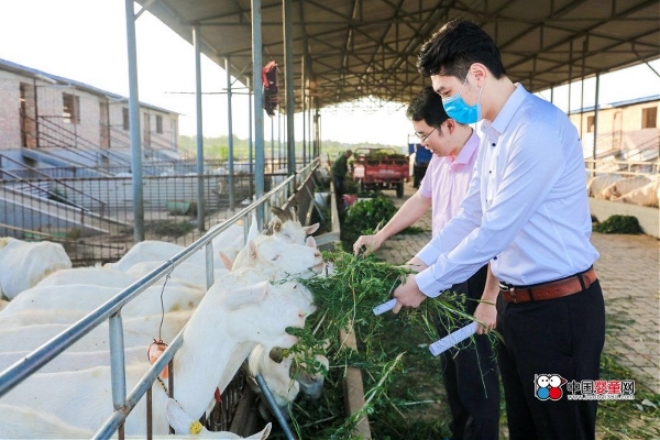 羊奶粉消费问卷调查显示 超七成消费者关心奶源