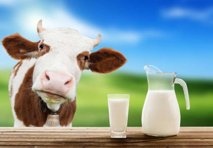 巴西去年牛奶销售额达224亿黑奥(图1)