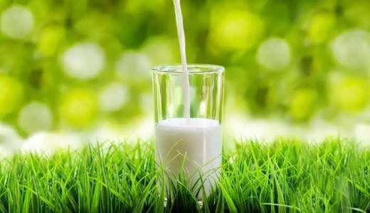 填补霉菌毒素风险评估研究空白 奶及奶制品品控技术取得突破进展(图1)