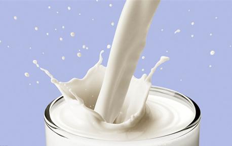 乳品网:2019年乳品龙头竞争格局或将改善(图1) 乳品网:2019年乳品龙头竞争格局或将改善(图1)