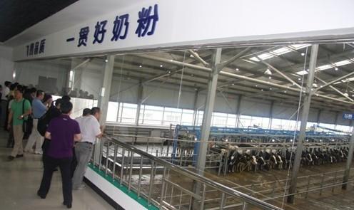 飞鹤乳业引领国产奶粉进入高端化时代(图1)
