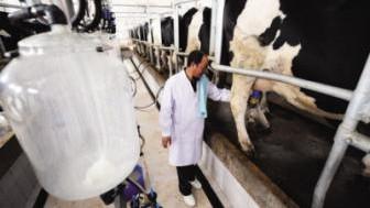 集贸市场生鲜乳价格上涨