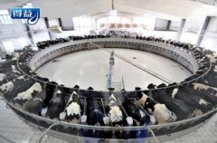 得益乳业：探索产业融合新模式，引领民族奶业振兴