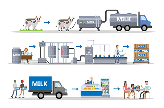 牛奶大百科：UHT奶和巴氏奶有什么不同？(图1)