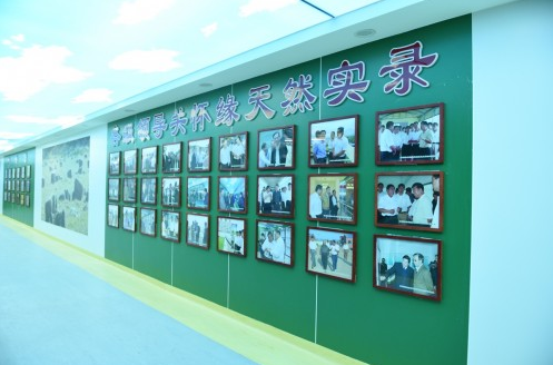 馨康坝上牧场 高品质的有机鲜牛奶