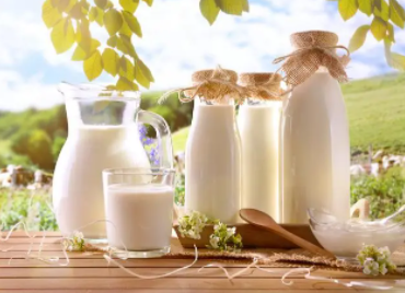 儿童牛奶营养化提速，但缺少“路标”指引