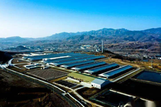 年产4万吨鲜奶！临朐将建成山东省最大奶源基地