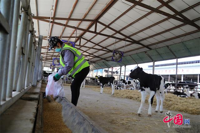 孙志宏委员建言规范益生菌行业、提升乳业竞争力(图4)