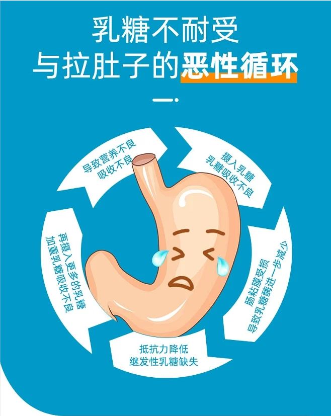 乳豆仙|关注国民肠胃健康，植物酸奶再掀新浪潮(图1)