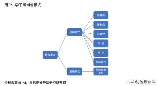 品牌与渠道势头向好，李子园：甜牛奶龙头开启全国化之路(图28)