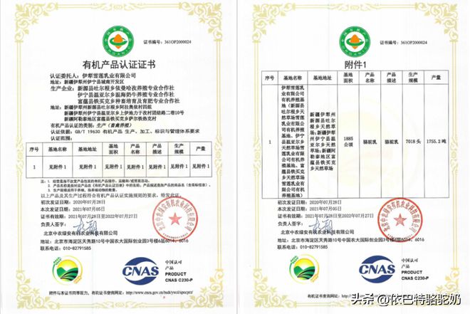 纯真骆驼奶和有机骆驼奶2款新品上新，依巴特产品力奠定标杆力(图5)