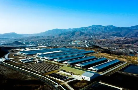 临朐县荣获“全省奶业生产能力提升示范县” 