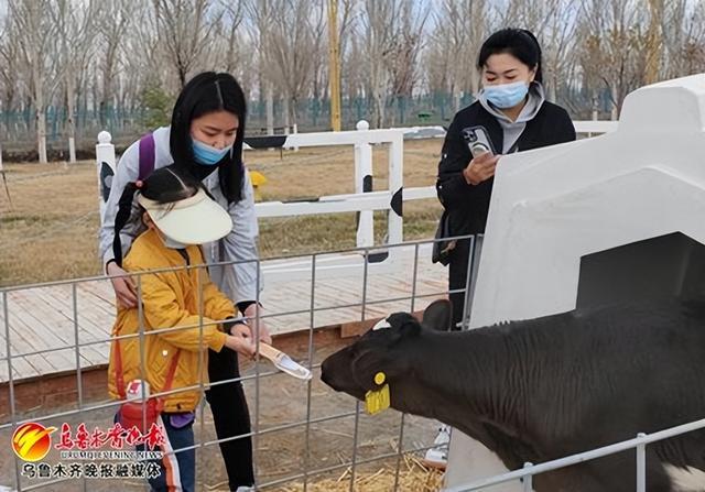 爱新疆 游首府 | 牛奶DIY推动旅游观光升温