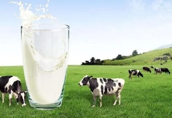 如何看待当前的乳制品行业竞争格局？（2023乳制品行业前景分析）