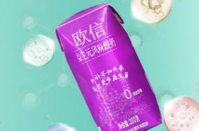 欧信益生元风味酸奶，世界牛奶日助力肠道健康