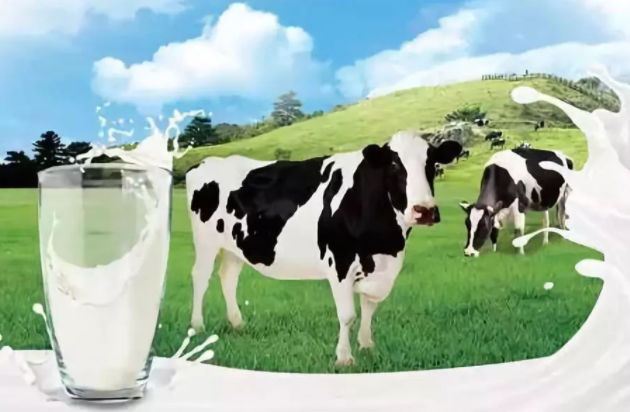 奶业科普：全球牛奶产量和质量的影响因素有那些？