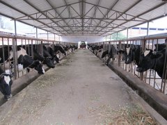 云南乍甸乳业有限责任公司