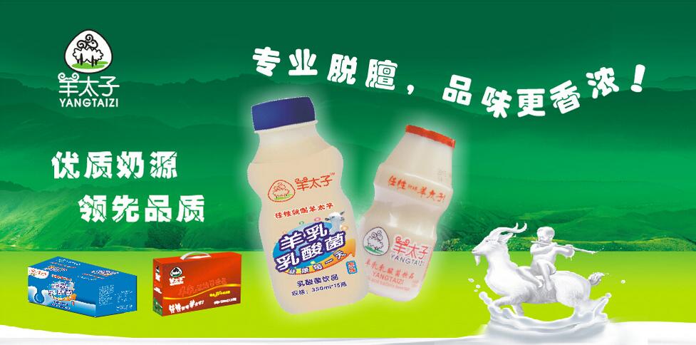原味羊奶发酵乳酸菌 全国招商(图1)