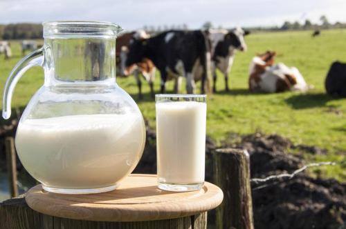 研究发现奶类促进长寿，酸奶有利防癌！