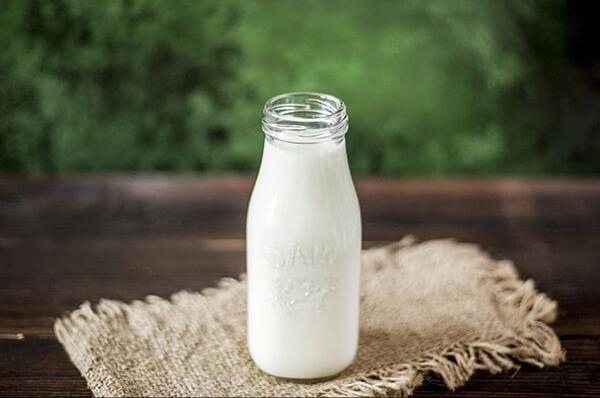 喝羊奶什么时候喝最好 羊奶每天喝多少合适