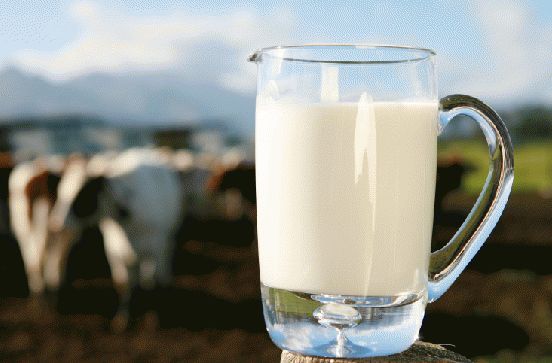 张养东：国产奶就是优质奶，进口奶只是补充