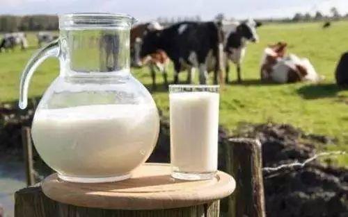石家庄力争2022年乳制品产量达119万吨