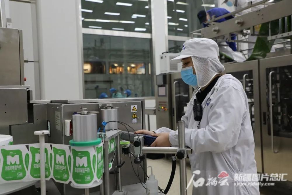 培土奠基！天润乳业年产20万吨乳品加工项目启动(图1)