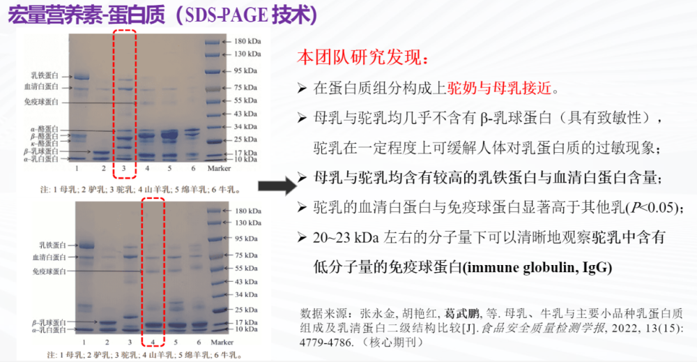 科研助力特色乳 国货引领大健康 依巴特乳业科研团队发布驼乳重大科研成果(图5)