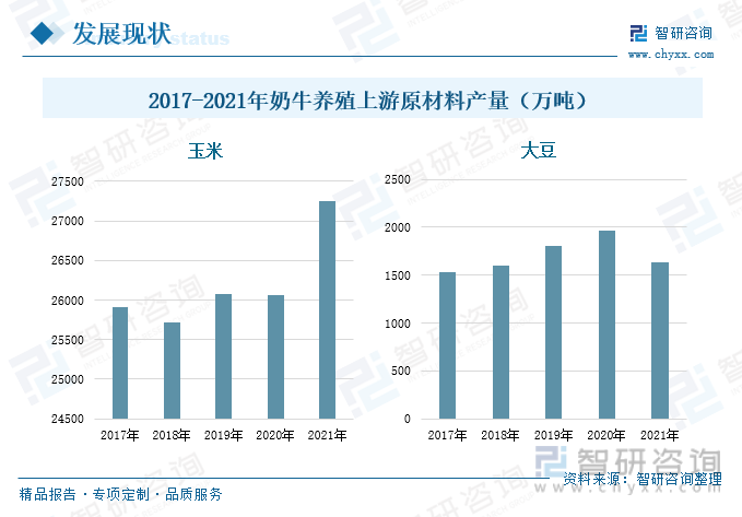 玉米和大豆，是奶牛养殖中重要的饲料之一，近年来，随着我国农业生产技术的不断进步，各类粮食的产品持续增加，玉米和大豆的产量也在持续增加。2017-2021年期间，我国玉米和大豆的产量总体上呈现出增长的态势。2021年玉米的产量共计2.73亿吨，较2020年增长了4.56%；大豆的产量为0.16亿吨，同比下降了16.36%。此外，随着国内消费水平的升级，大众在食物的选择和消费时，对于蛋白质食品的重视程度不断提高，同时养殖业和饲料产业也在持续发展，进而玉米、大豆等粮食会逐步向饲料粮等转移，充足的玉米和大豆产量，为奶牛养殖中的原材料供应，提供了一定的保障。