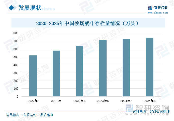 近年来，我国奶牛养殖行业保持稳定发展，奶牛养殖的各类设施也在持续完善。我国的奶牛主要以黑白花奶牛为主，从1980年山东省畜牧局牛羊养殖基地开始引进此品种，又称中国荷斯坦奶牛，是由纯种荷兰牛与本地母牛的高代杂交种，经长期选育而成。随着乳品的需求量持续增长，各奶牛养殖企业纷纷加大育种技术的研发，不断改良奶牛的遗传品质。同时，加大牧场及周边设施的建设工作，为奶牛的提供良好的居住环境，减少疾病的产生。2020年以来，我国牧场奶牛的存栏量保持稳定增长的态势，2021年我国牧场奶的牛存栏量为580万头，同比增长了11.54%，预计到2025年我国牧场奶牛的存栏量将达到743万头左右。