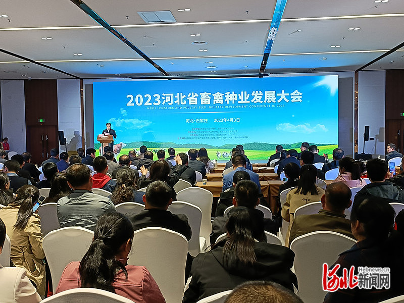 2023河北省畜禽种业发展大会现场。李书杰摄