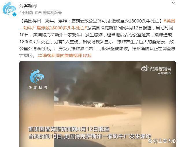 美国得克萨斯州奶牛场爆炸：1.8万头奶牛死亡，事故原因在调查中(图1)