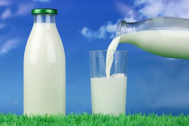 2023年全球牛奶价格走势，浅谈中国牛奶产业发展趋势
