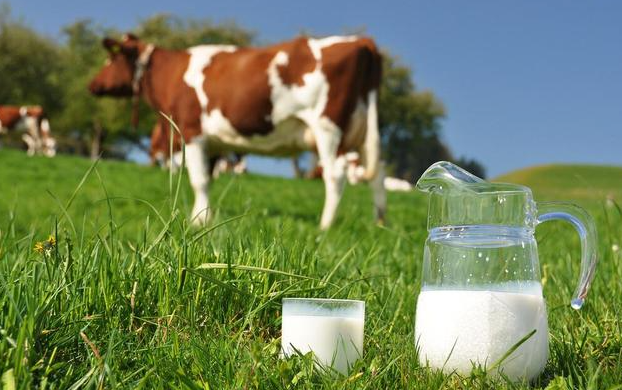 中国优质奶源有哪几个地方？河北奶源好还是黑龙江奶源好？