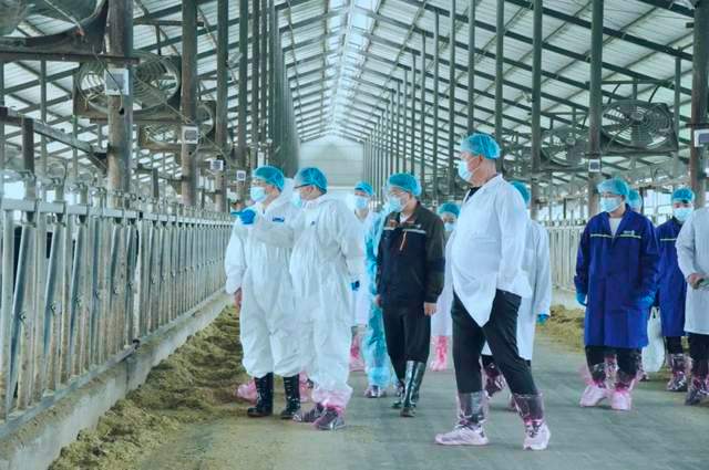 国家奶牛产业技术体系首席科学家李胜利一行赴花花牛鲁山瑞亚参观调研(图2)