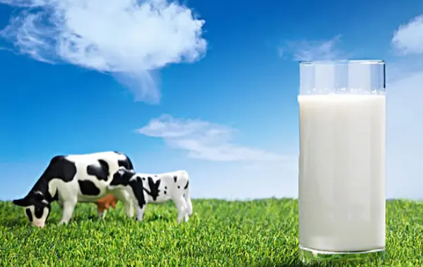 去年全国奶类产量突破4000万吨大关