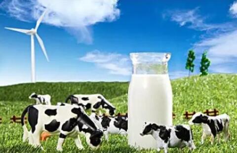 奶源质量决定乳品品质，打造优质奶源关键在三点